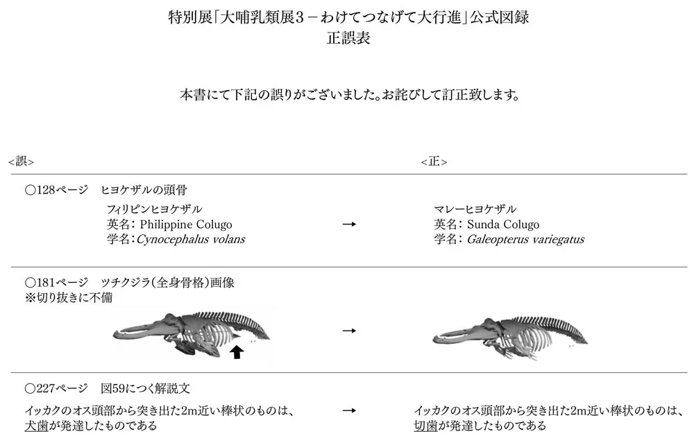 図録＆グッズ｜大哺乳類展３－わけてつなげて大行進｜2024年3月16日